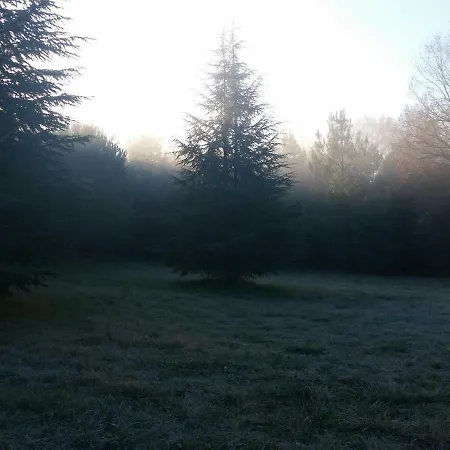 Pensjonat Manoir Du Rieu